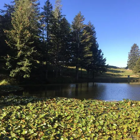 Ca' Pedrot, Design Retreat & Spa * Monte Carasso