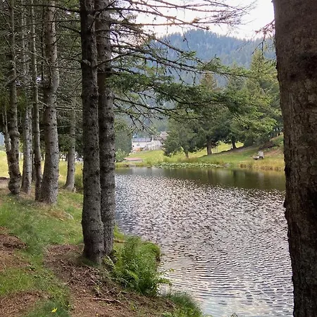 Ca' Pedrot, Design Retreat & Spa Monte Carasso